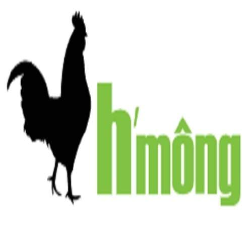 GÀ ĐEN H’MÔNG