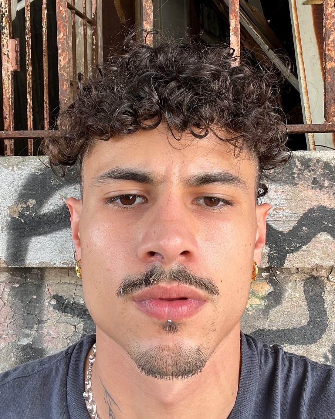Gato