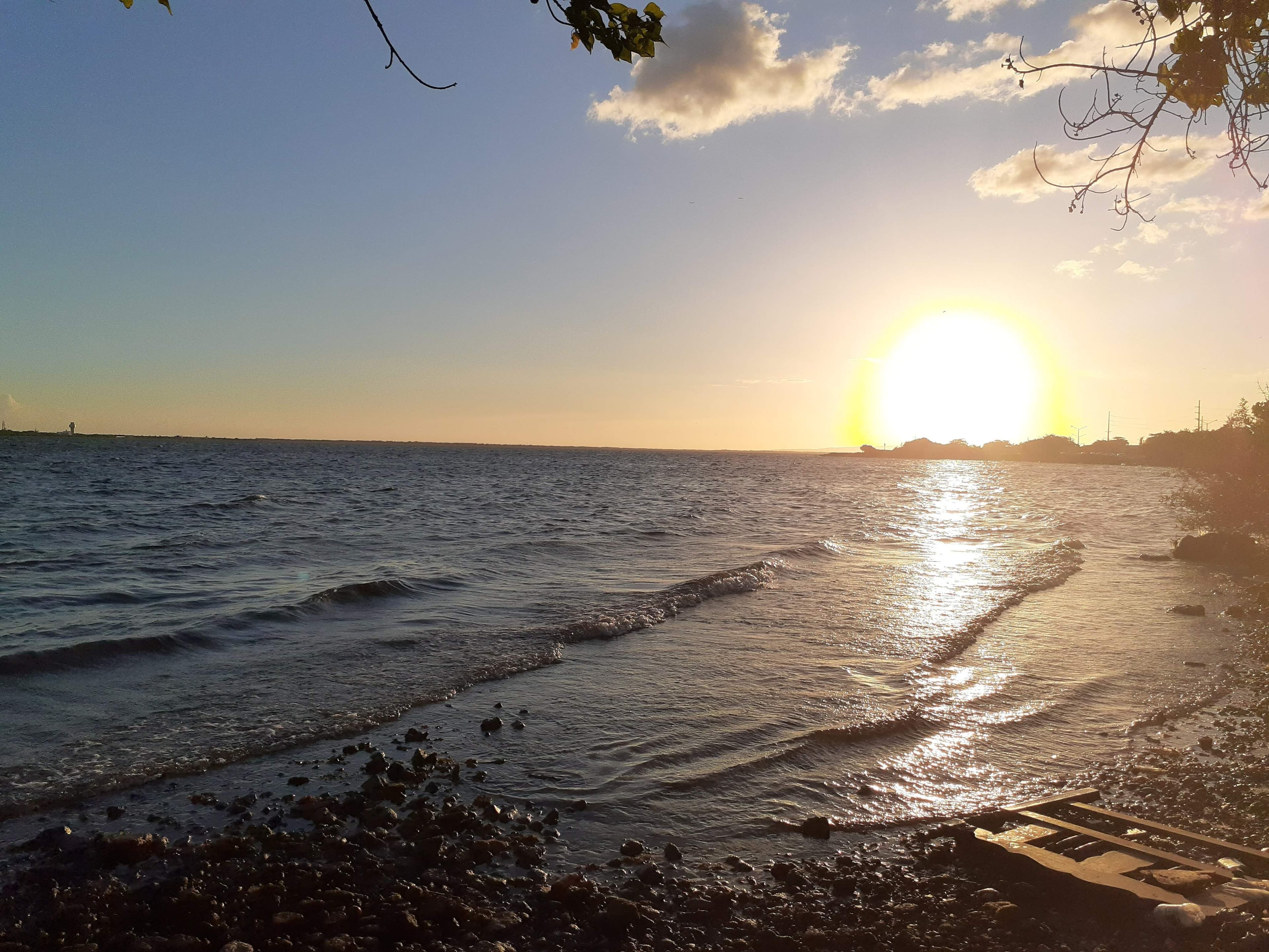 Caribbean Vice Grip