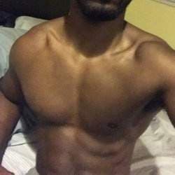 DomTopBoston