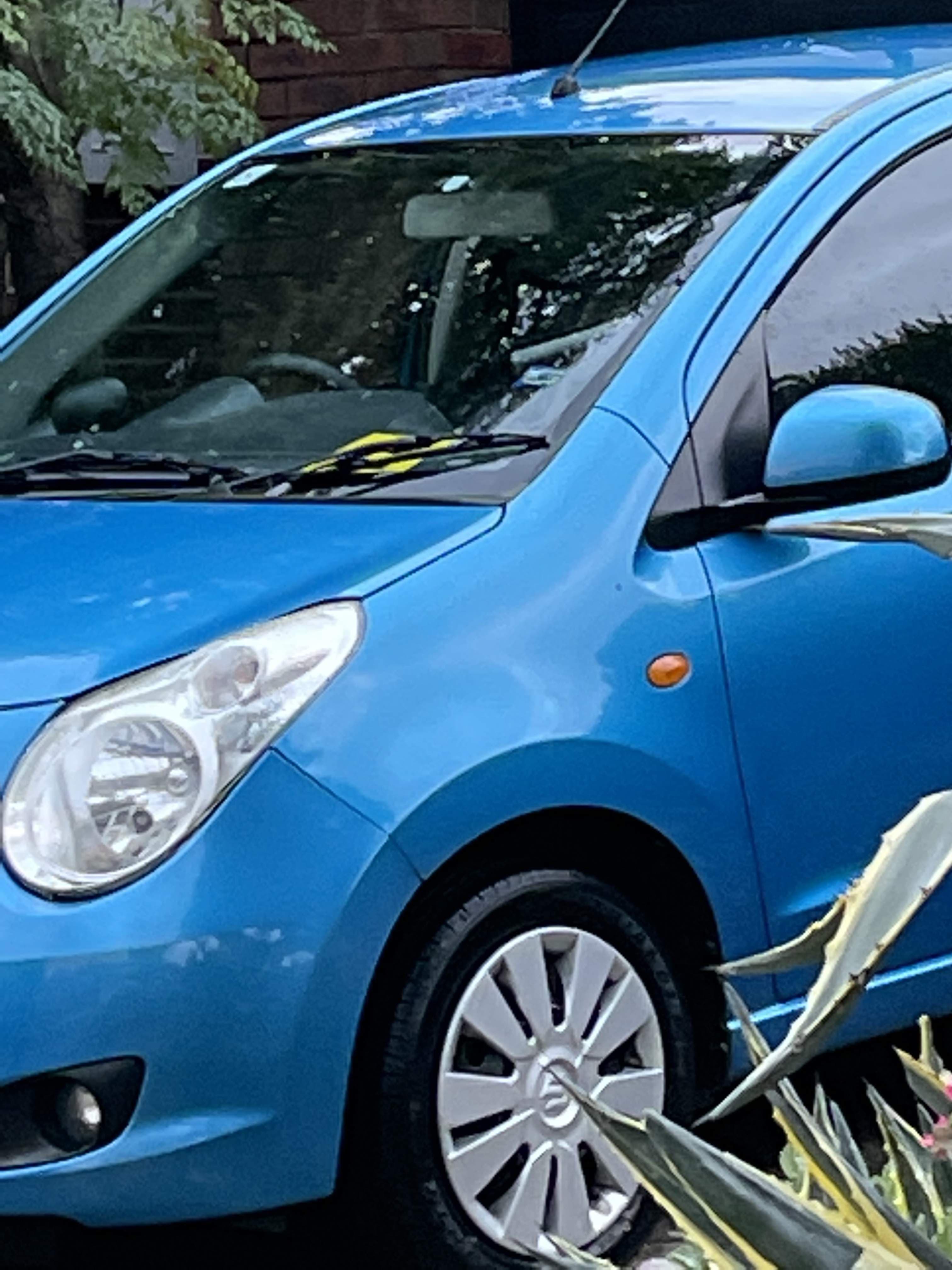 Adam’s Blue Suzuki Alto