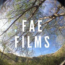 FAE FILMS