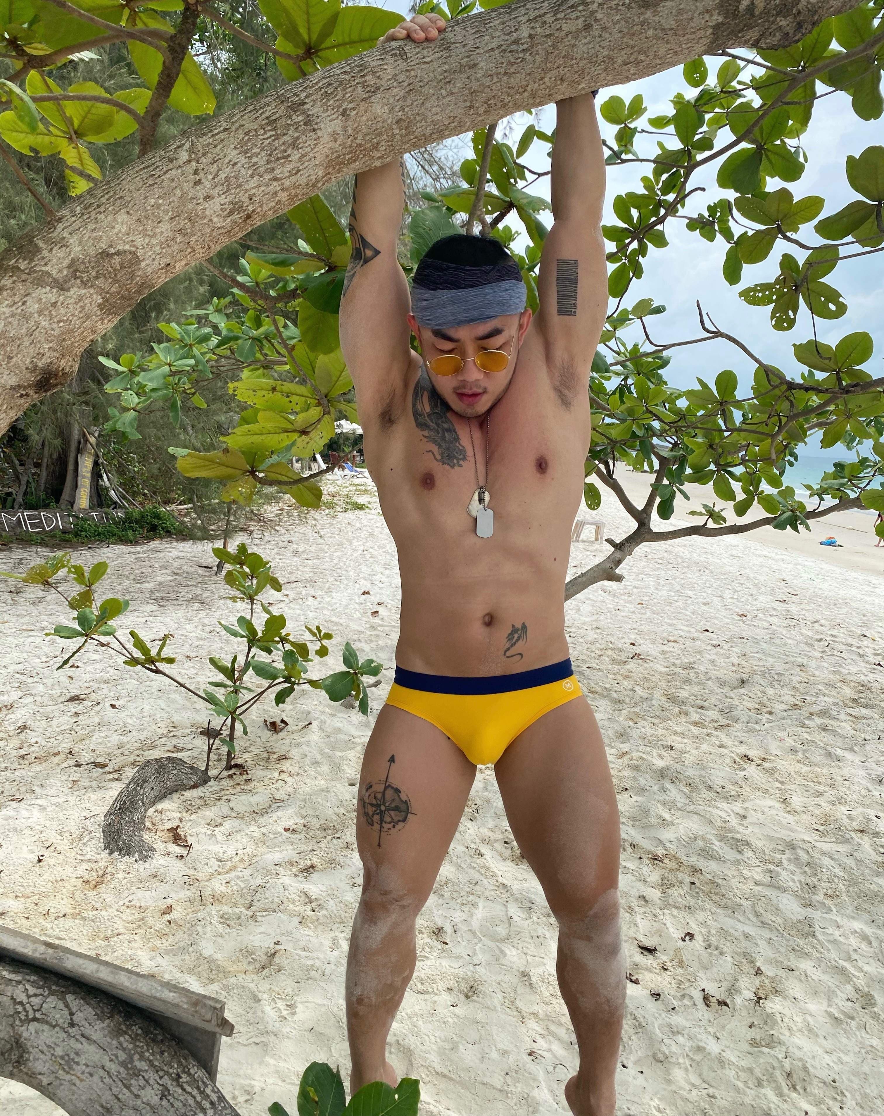 Troytroy