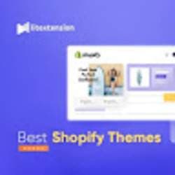 Best Shopify Themes