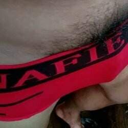 Api Ppp