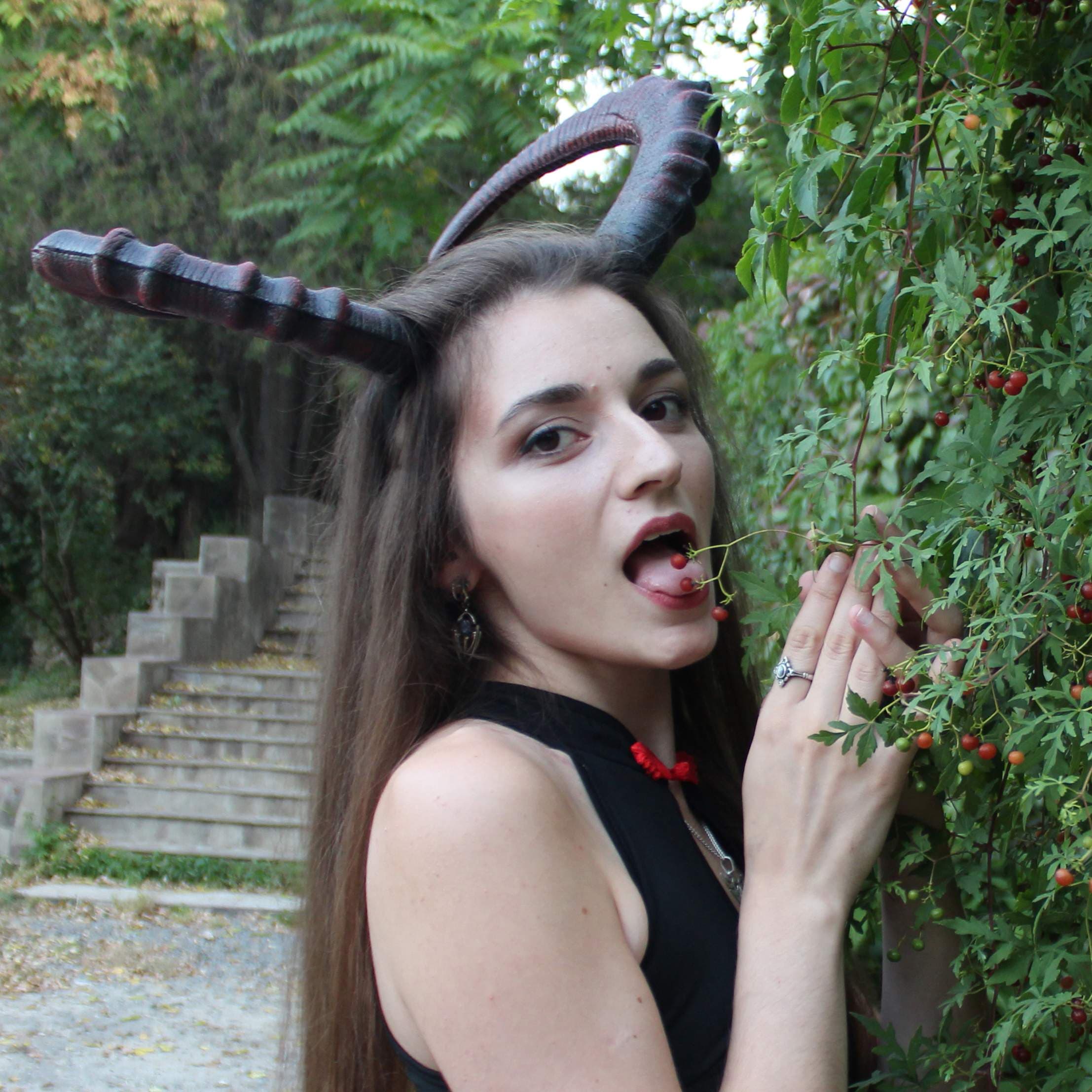 Devil Morion