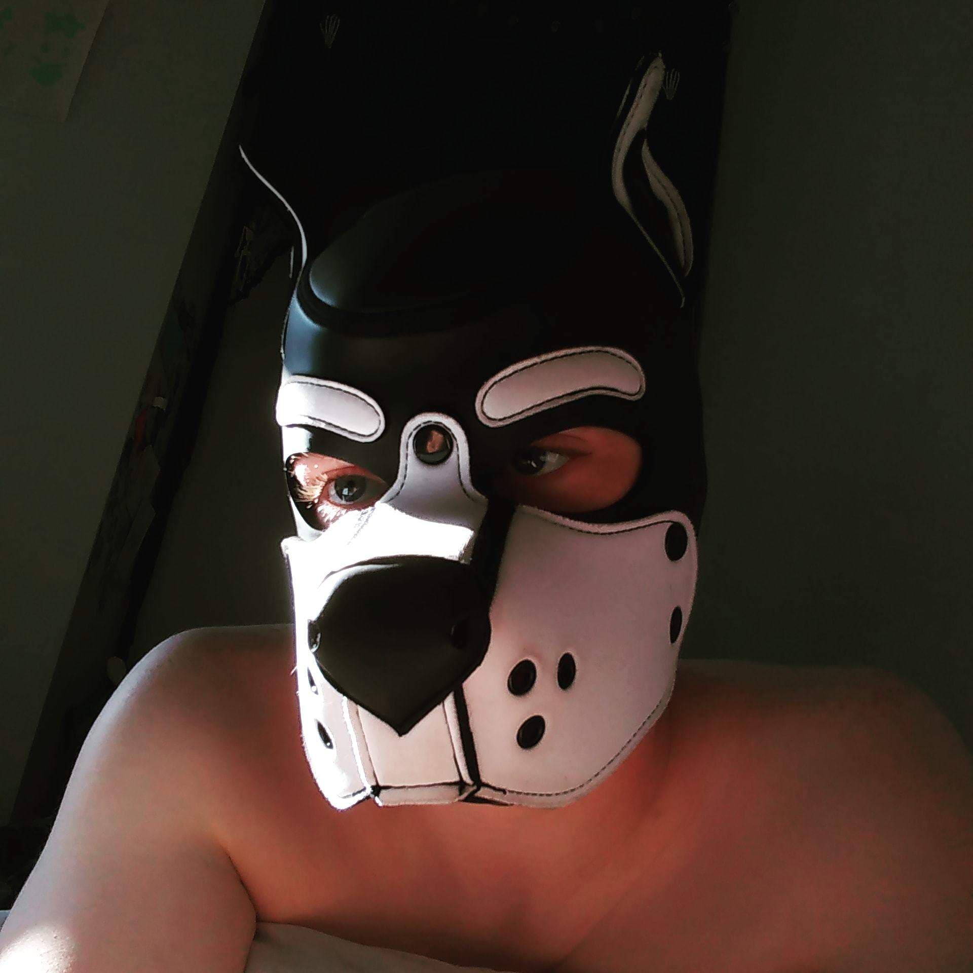 Pup Kyro 🐾