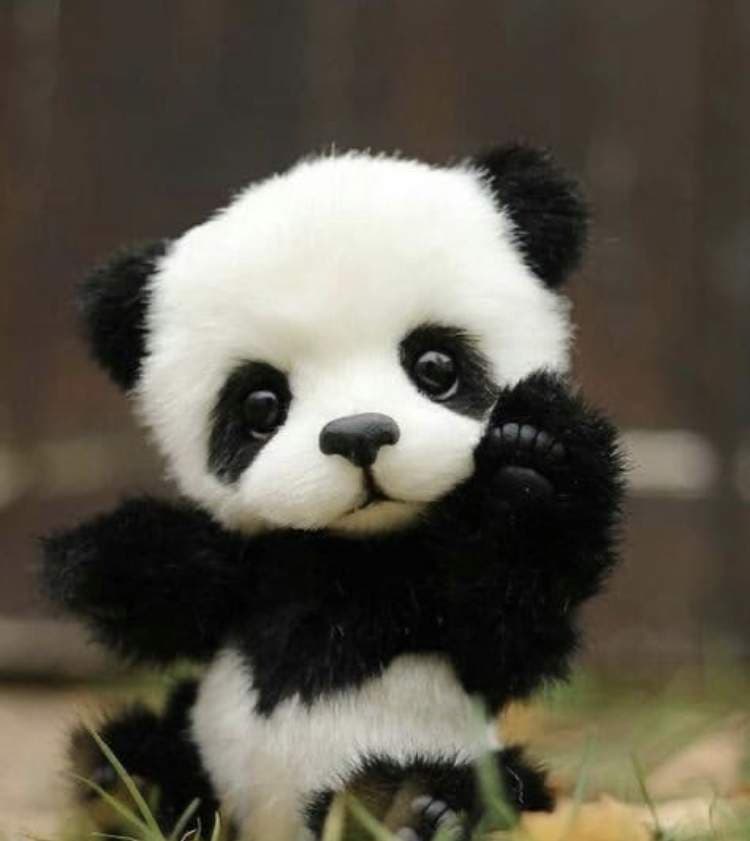 Jiao