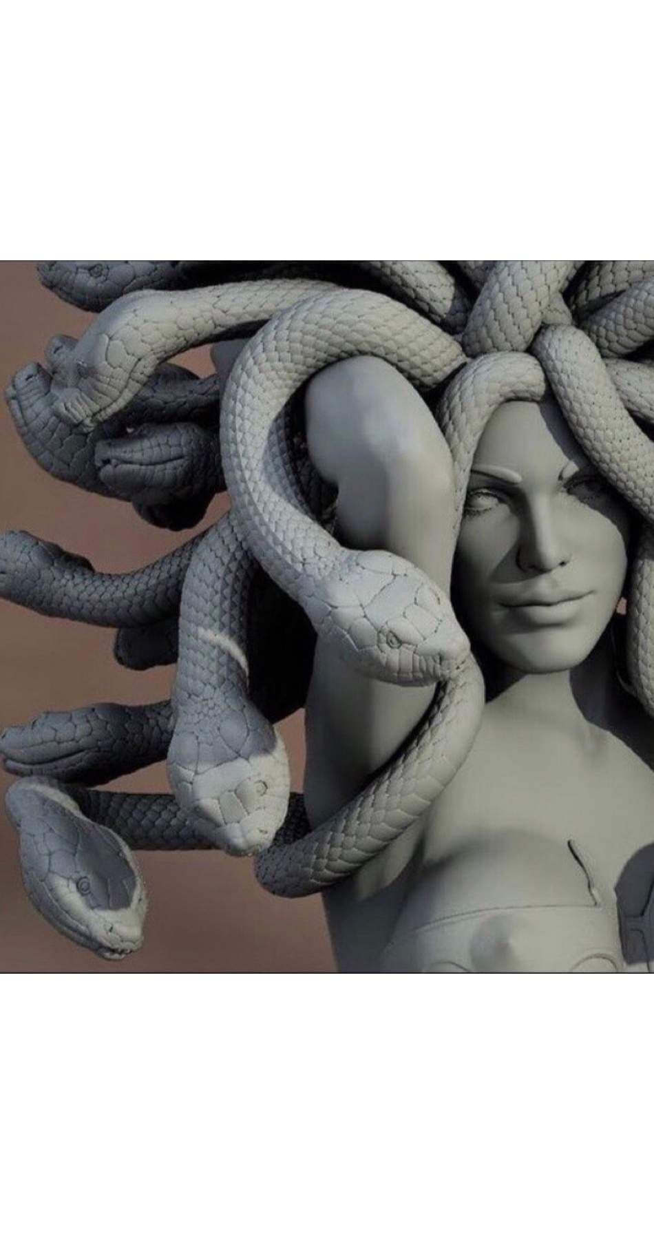 Medusa's Son