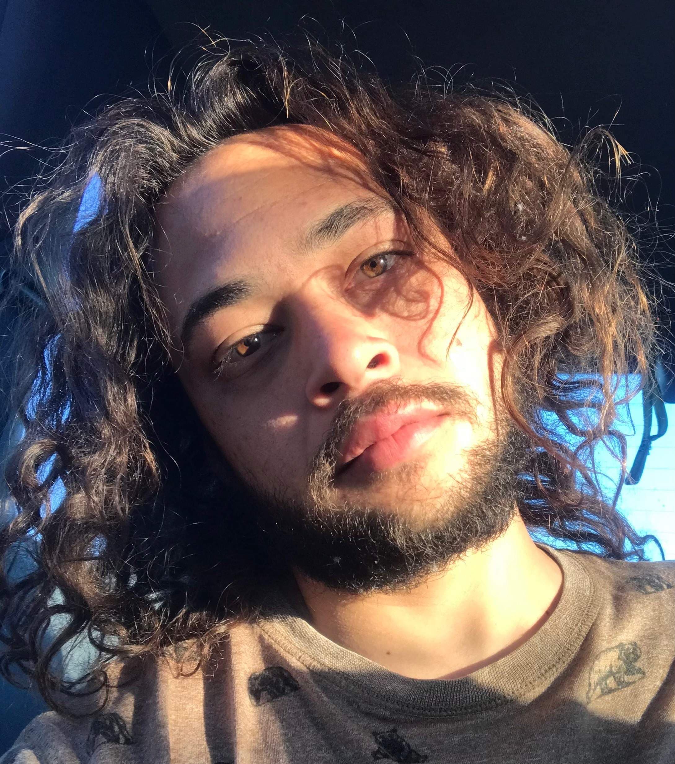 Local hunny
