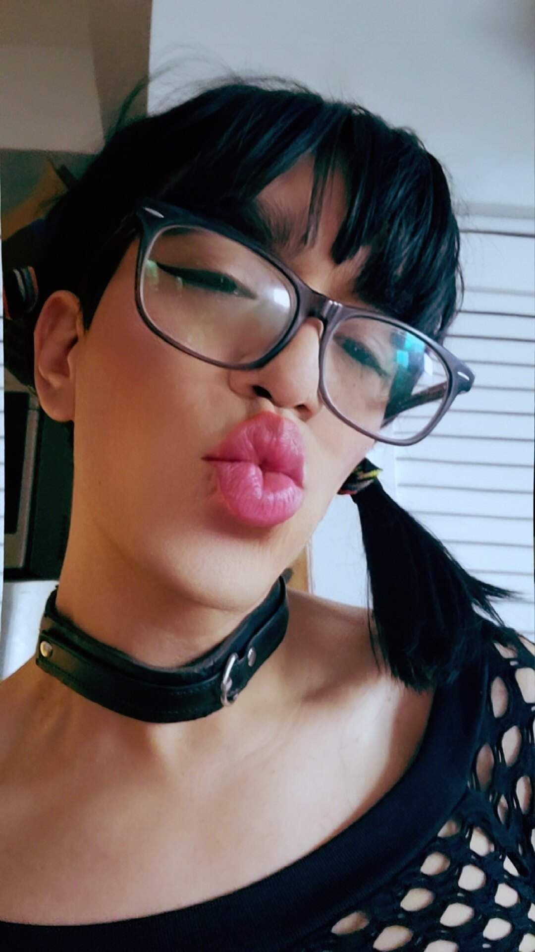 evacicada