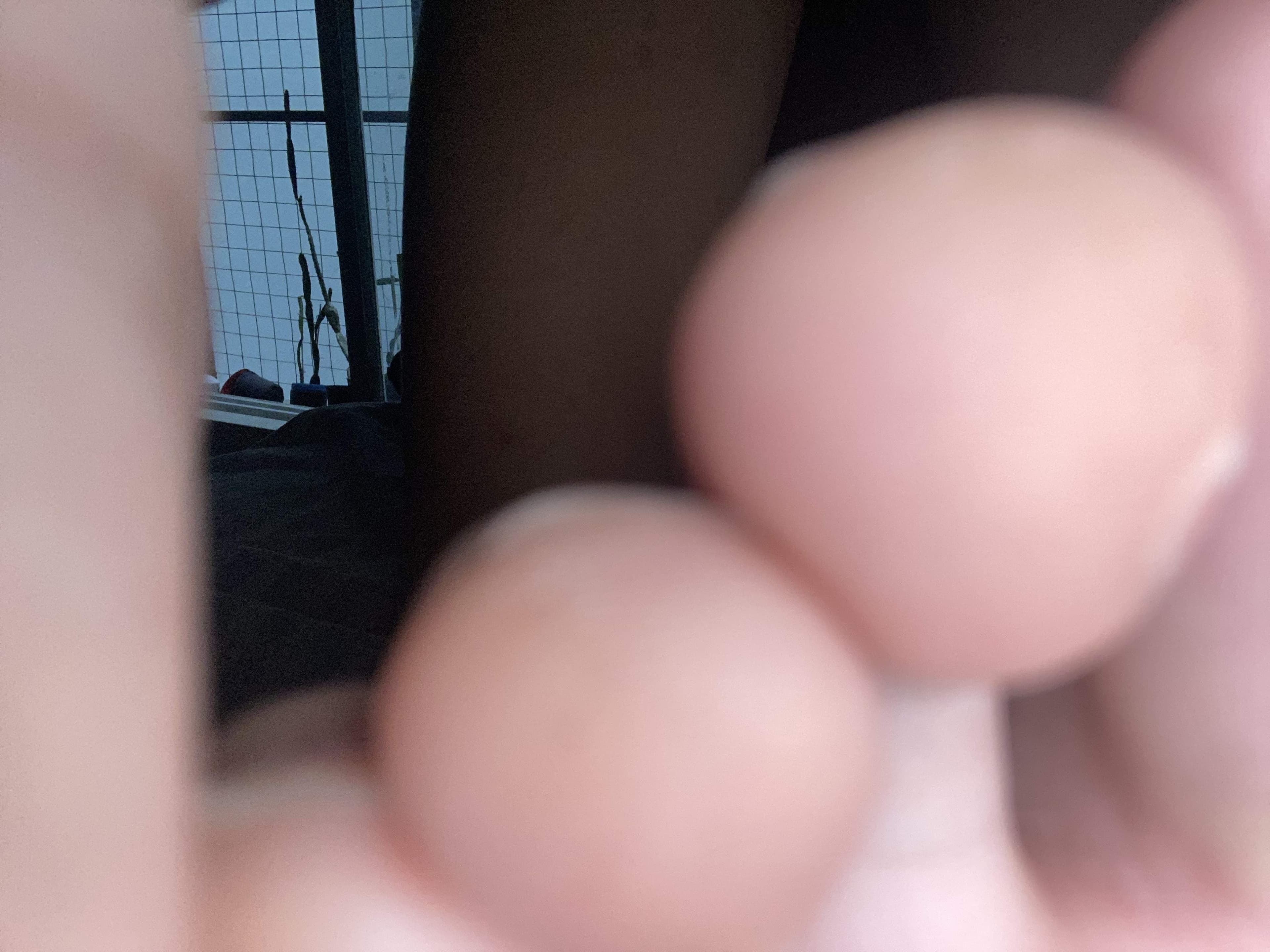 Luz