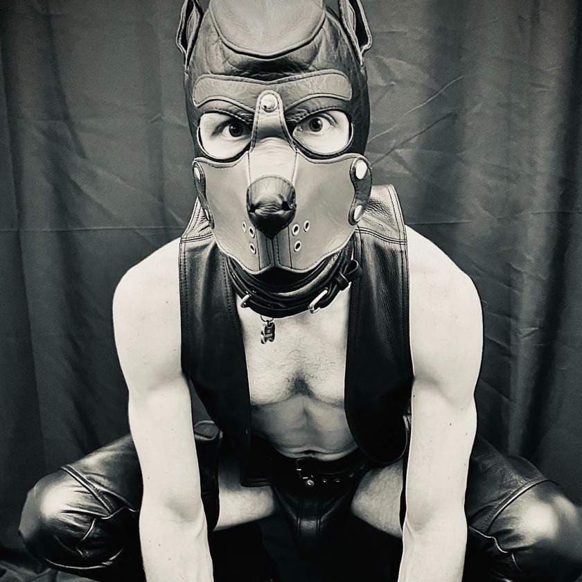 Rocket the Smut-Mutt