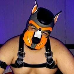 Pup Cariño 