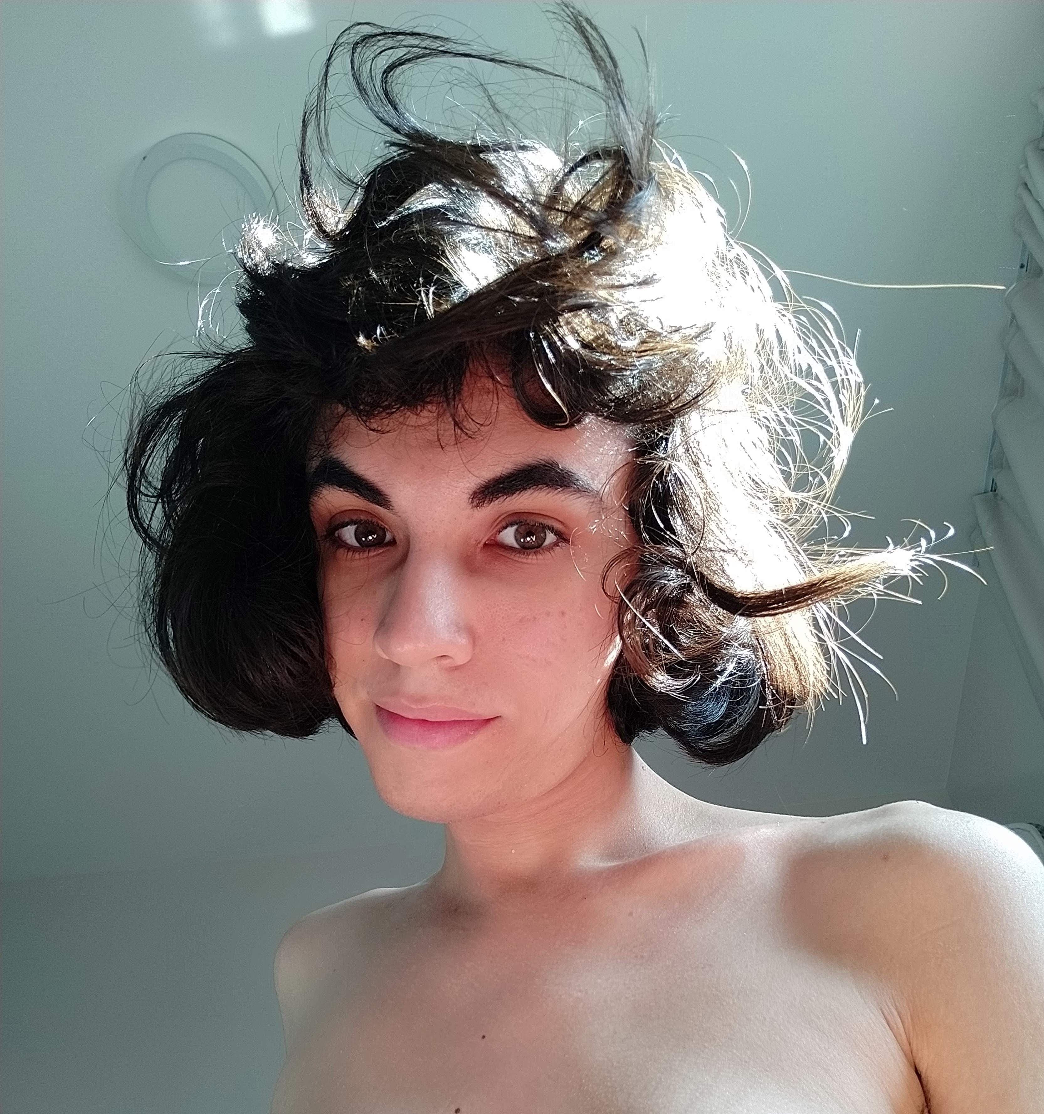 lilás terra