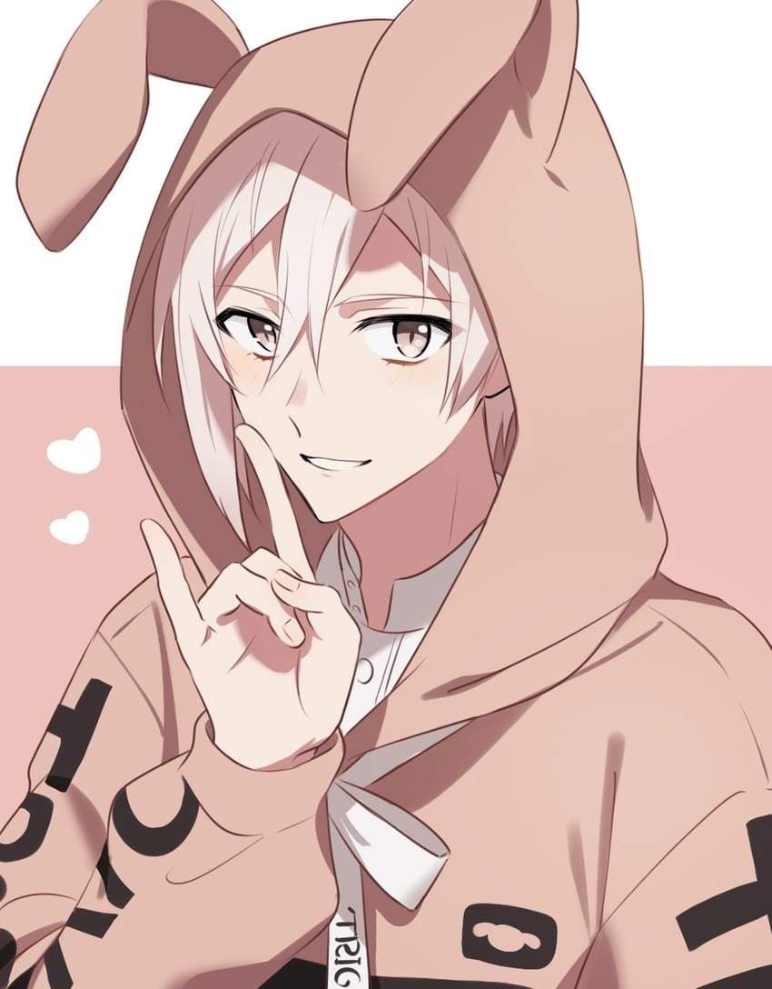Dakota bunny