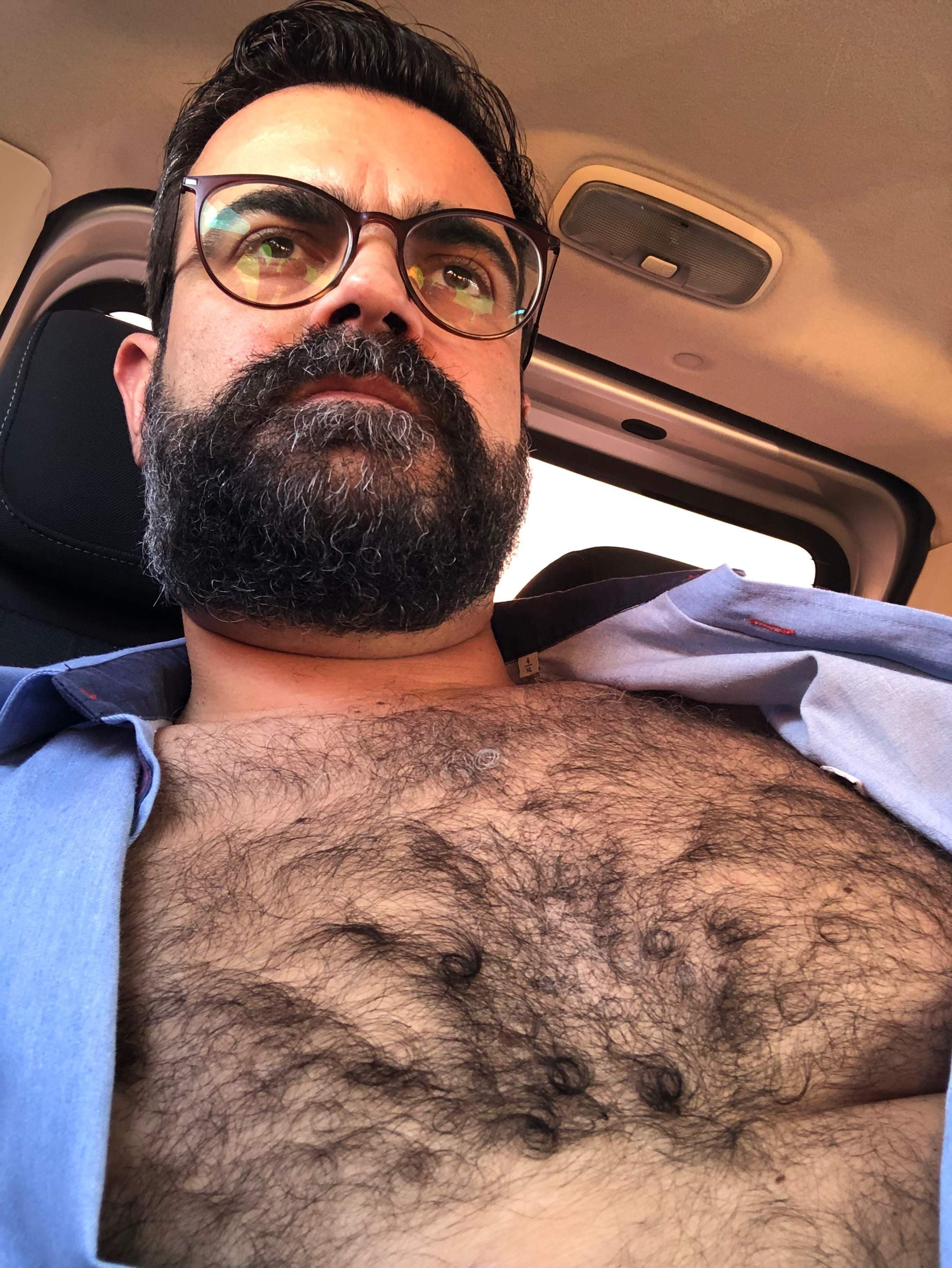 Bossy bear