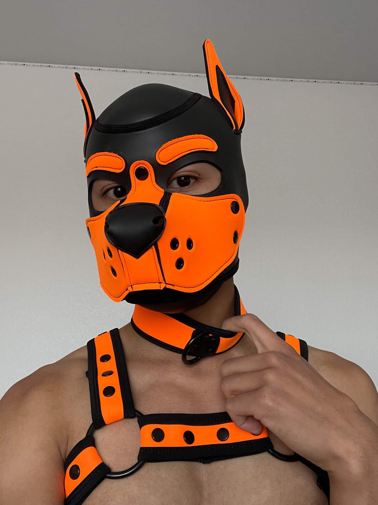 Pup Rawuu
