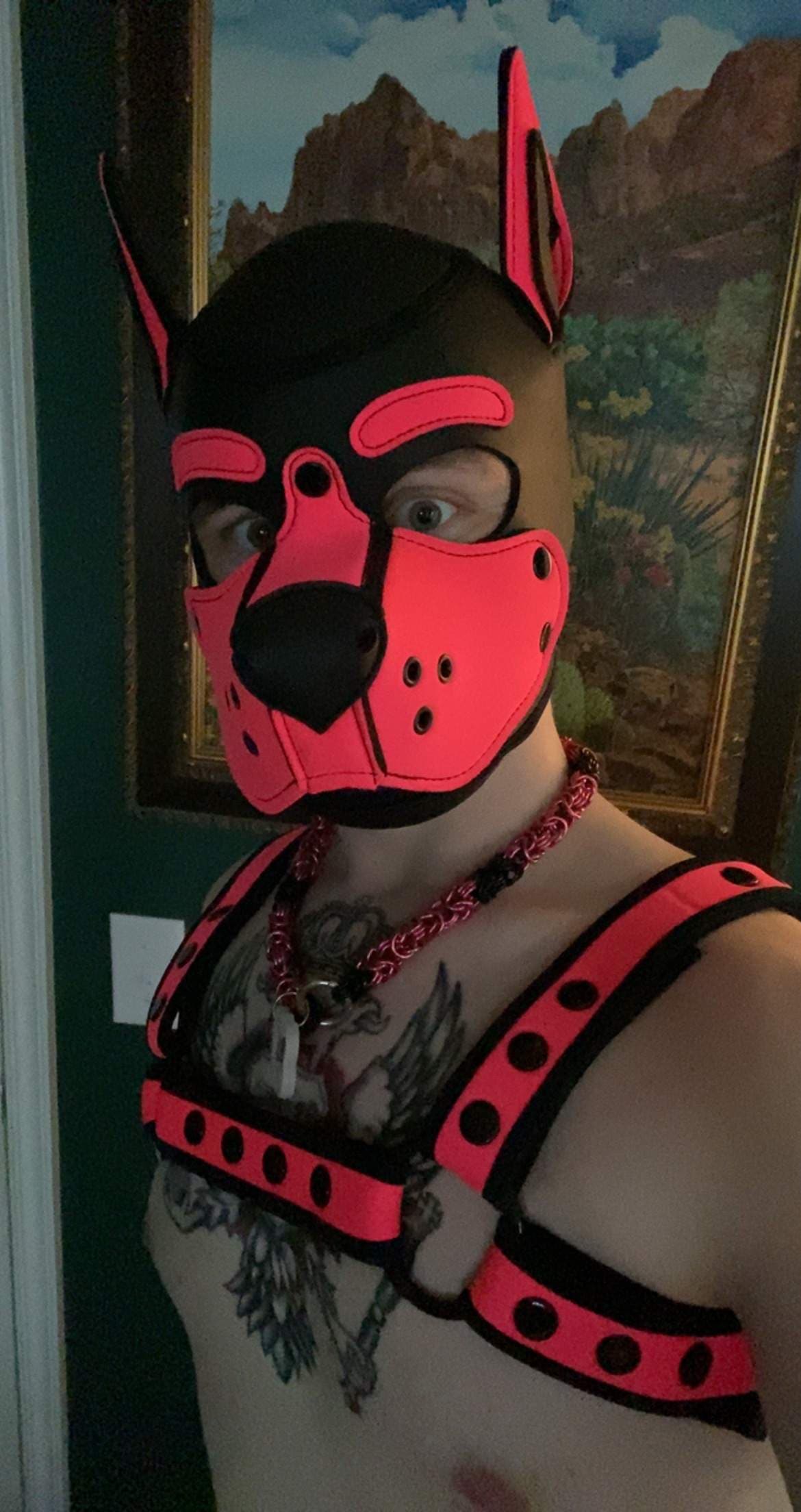 Pup Zion