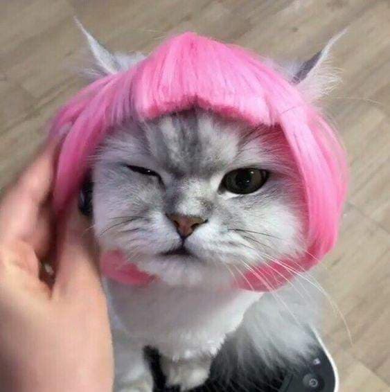 𝓛𝓸𝓮 𝓵𝓲́𝓪