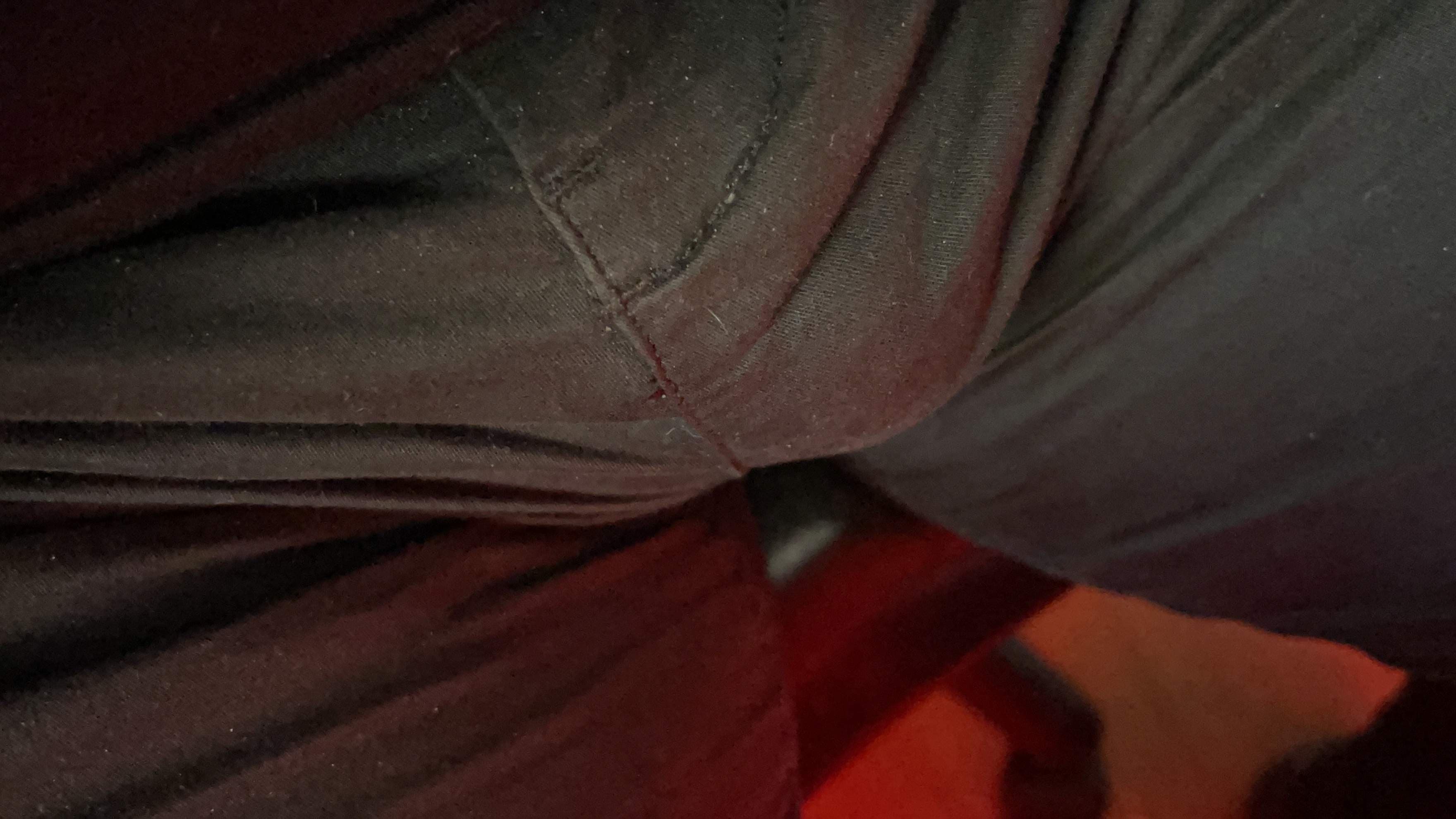 Scottish Dom