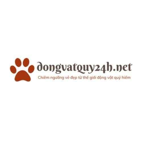 dongvatquy24h