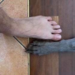 Adore My Feet