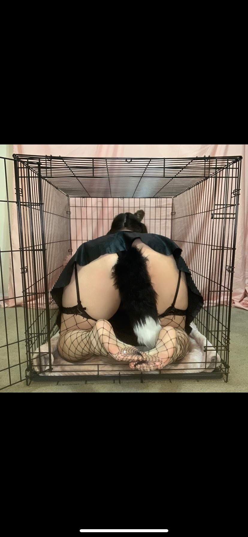 MagicalKittyyy 💕